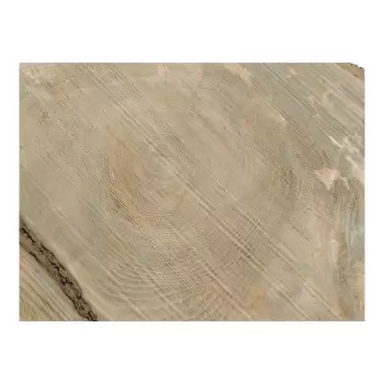 Plaster Jesionowy po Suszarni 112x79x8cm w Dwóch Kawałkach