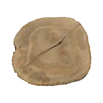 Plaster Jesionowy po Suszarni 85x79x9cm w Dwóch Kawałkach