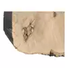 Plaster Jesionowy po Suszarni 108x83x9cm