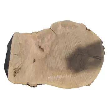 Plaster Jesionowy po Suszarni 108x83x9cm