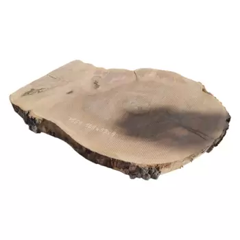 Plaster Jesionowy po Suszarni 108x83x9cm