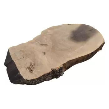 Plaster Jesionowy po Suszarni 108x83x9cm