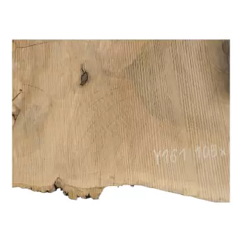 Plaster Jesionowy po Suszarni 108x83x9cm