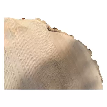 Plaster Jesionowy po Suszarni 108x83x9cm