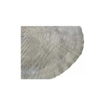 Plaster Topoli 77x69x11cm