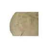 Plaster Topoli 78x69x10cm