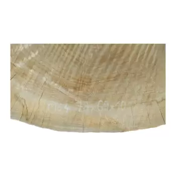 Plaster Topoli 78x69x10cm