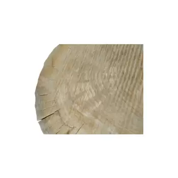 Plaster Topoli 78x69x10cm