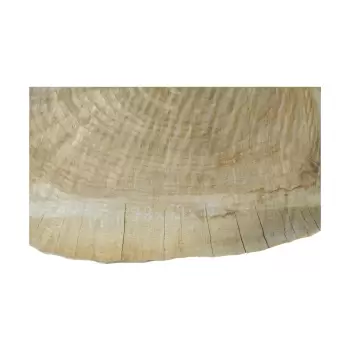 Plaster Topoli 78x69x10cm