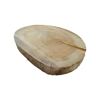 Plaster Topoli 78x68x10cm