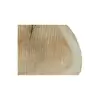 Plaster Topoli 78x70x10cm
