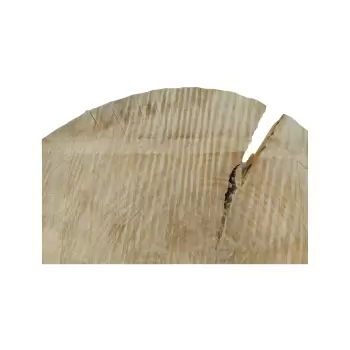 Plaster Topoli 78x70x10cm