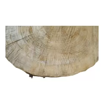 Plaster Topoli 73x68x10cm