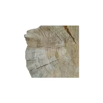 Plaster Topoli 73x68x10cm