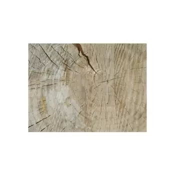 Plaster Topoli 73x68x10cm