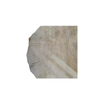 Plaster Topoli 72x67x10cm