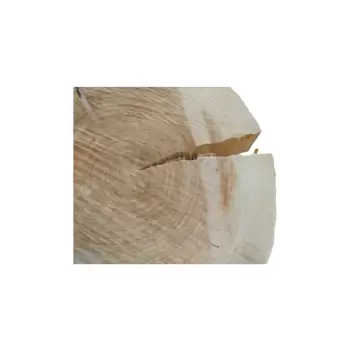Plaster Topoli 72x69x10cm