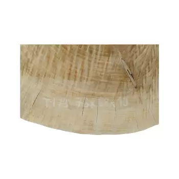 Plaster Topoli 73x68x10cm