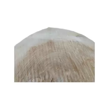 Plaster Topoli 76x68x10cm