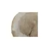 Plaster Topoli 74x68x10cm