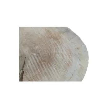 Plaster Topoli 74x68x10cm