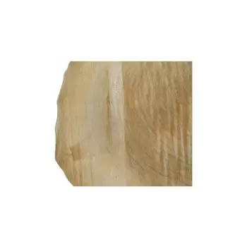 Plaster Topoli 71x68x10cm