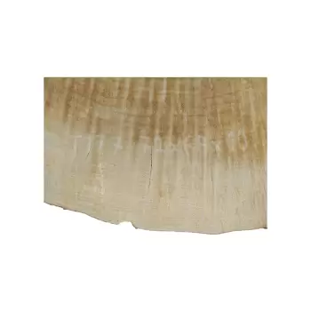 Plaster Topoli 72x68x10cm