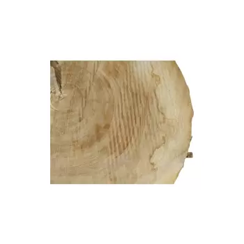 Plaster Topoli 71x66x8cm