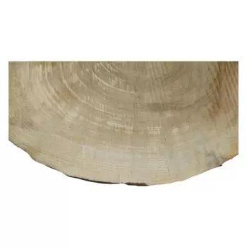 Plaster Topoli 68x65x8cm