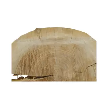 Plaster Topoli 67x66x7cm