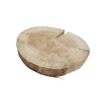 Plaster Topoli 69x65x8cm