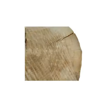 Plaster Topoli 69x65x8cm