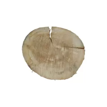 Plaster Topoli 68x66x8cm