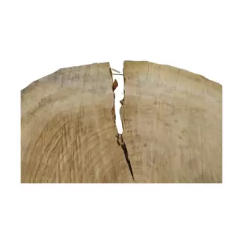 Plaster Topoli 68x66x8cm