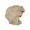 Plaster Wiązu 79x63x8cm