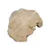 Plaster Wiązu 78x63x8cm