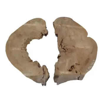 Plaster Wiązu w Kawałkach 97x78x8cm