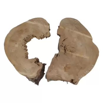 Plaster Wiązu w Kawałkach 98x73x8cm