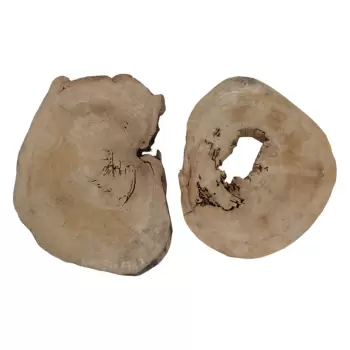 Plaster Wiązu w Kawałkach 97x67x7cm