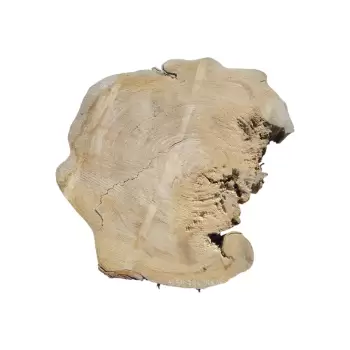 Plaster Wiązu 78x64x10cm